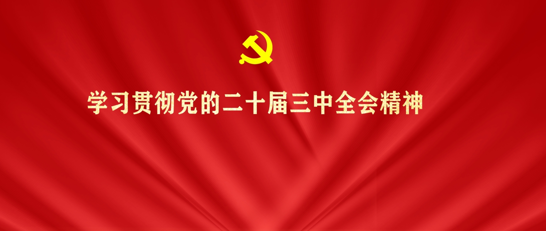 学习贯彻党的二十届三中全会精神